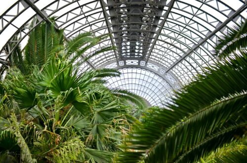 the inside of a building with lots of palm trees