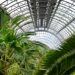 the inside of a building with lots of palm trees